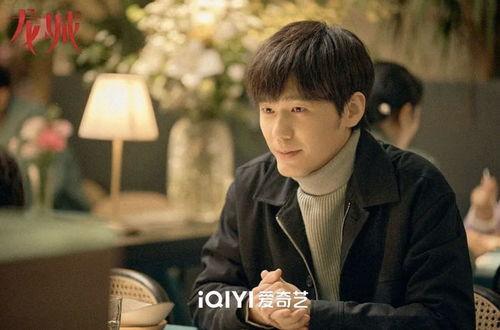 龙城电视剧演员表,揭秘电视剧演员阵容，实力派齐聚演绎传奇人生